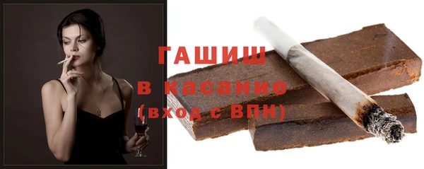 индика Арсеньев