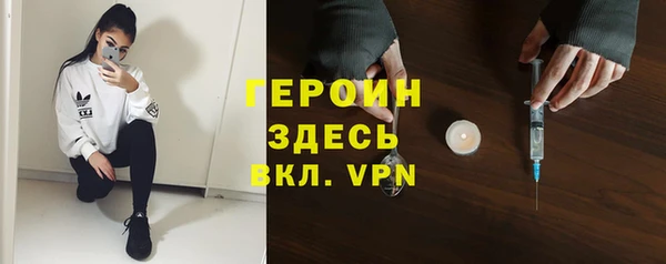 индика Арсеньев