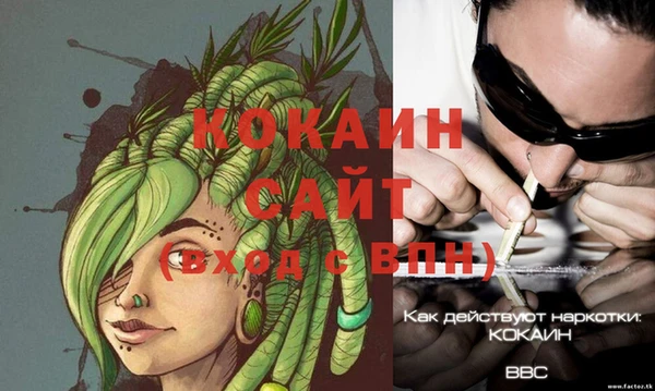 круглые Аркадак