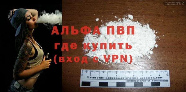 индика Арсеньев