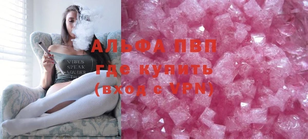 индика Арсеньев